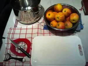 Apfelmus-Vorbereitung