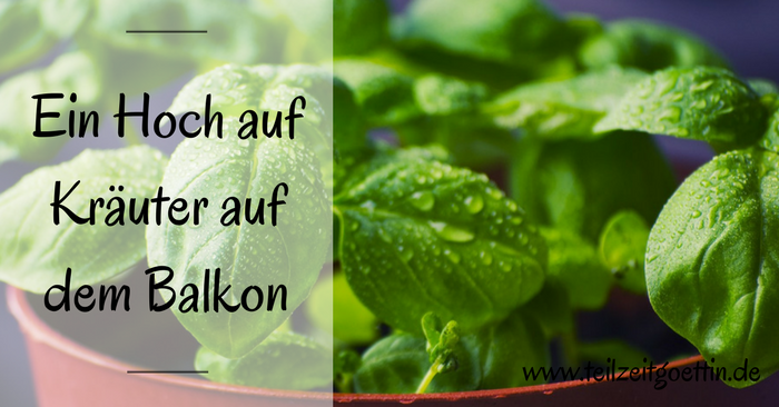 Ein Hoch auf Kräuter auf dem Balkon