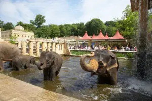 Elefantengehege im Zoo Hannover