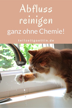 Abfluss reinigen ganz ohne Chemie