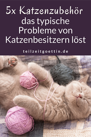 5x Katzenzubehör, das typische Probleme von Katzenbesitzern löst
