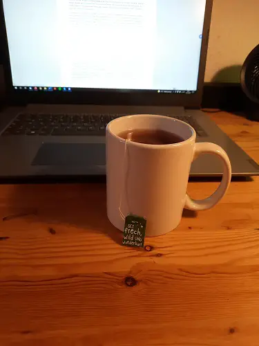 Zauberhafte, zuckerfreie Getränke: Tee von der TeeFee