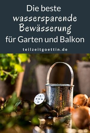 Nachhaltig gießen, Teil 1: Die besten wassersparenden Bewässerungssysteme für Garten und Balkon