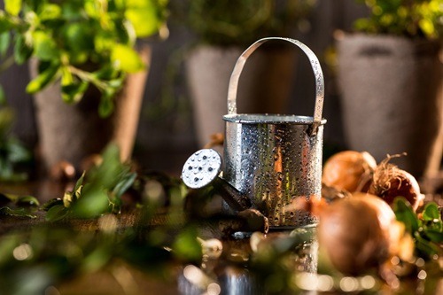 Nachhaltig gießen, Teil 1: Die besten wassersparenden Bewässerungssysteme für Garten & Balkon